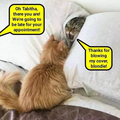 a5c316b630b7405b79b220318c55f12d