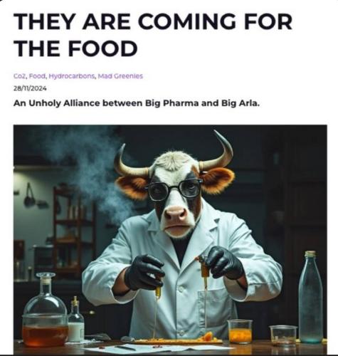 photo_2024-11-28_22-33-09