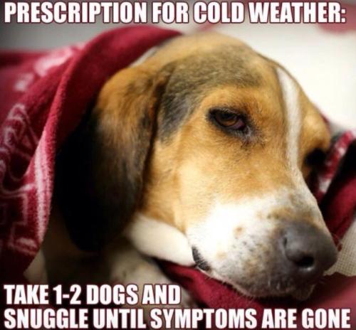 a9f7ffe1832bad8c2e023f478ecff276