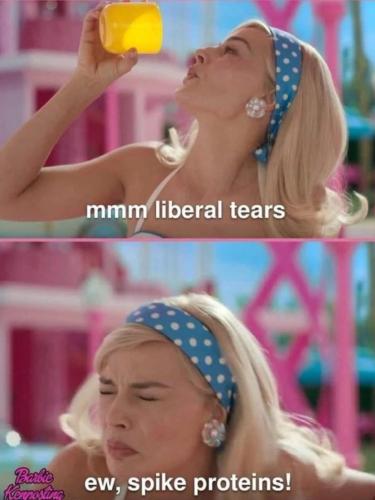 image_7353D91B-FA06-4D0D-93D8-F13BC83E54C8