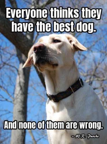 c440282203c99bb7c60d0efeae4d0050