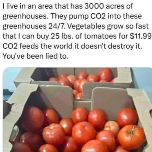 photo_2024-06-07_21-03-17