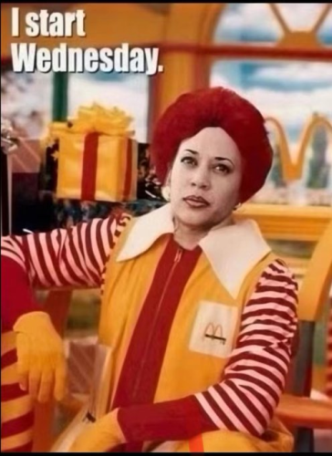 image_2024-11-08_082755716