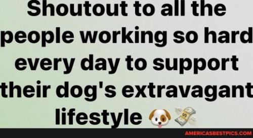 f01b051d8dab86771024248ff2eaca62b9483fda5b18899e246c5eef5bda3736_1