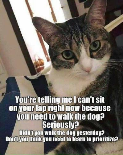 efb8e8ae98b919f6eac71c42fe1517f1