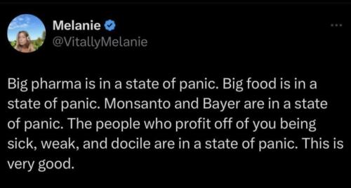 photo_2024-11-07_21-18-15