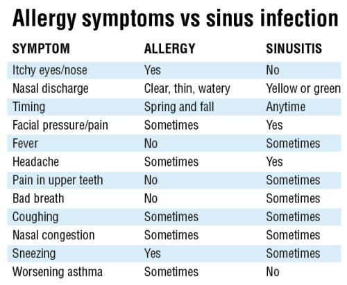 allergy vs sinus infection symptoms