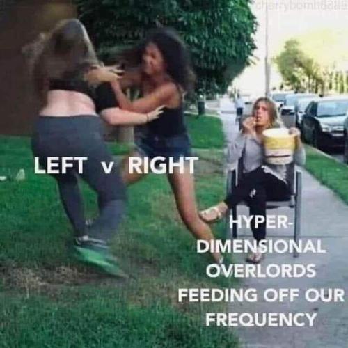 photo_2024-11-23_15-48-54