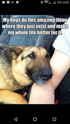 648435a59880d3f038c4b6f6876f880e