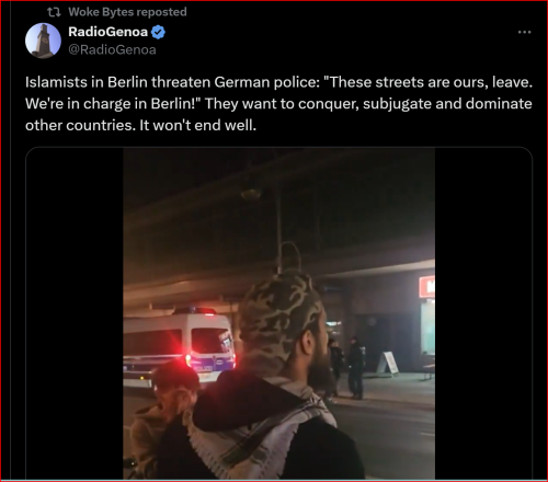 Screenshot 2024-11-22 081517