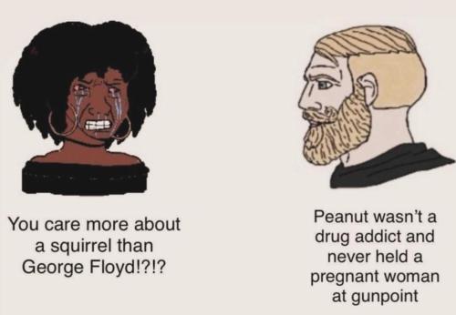 photo_2024-11-05_19-12-10