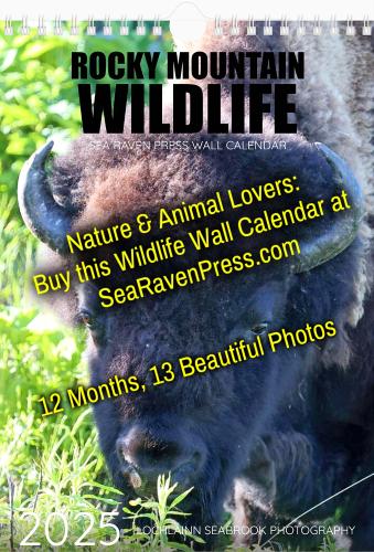 00Calendar_RMWildlife_2025_Cover_MEME