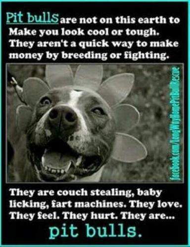 07a51c6b512911048f8541ca333f609b