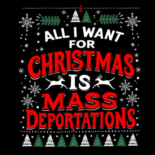 image_2024-11-26_063303559