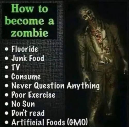 photo_2024-11-25_18-19-32