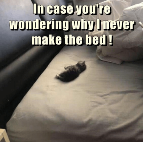case-wondering-why-never-make-bed