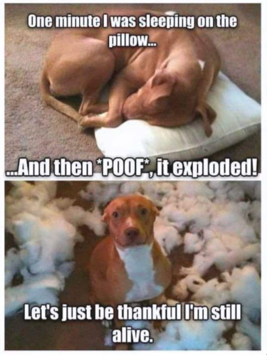 Screenshot 2024-11-20 202721