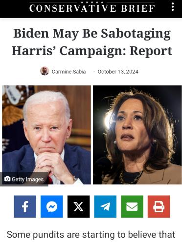 Screenshot_20241103-204449_Brave