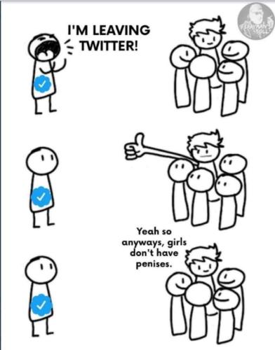 image_568D1ECF-DF21-4C17-A814-84248202D330