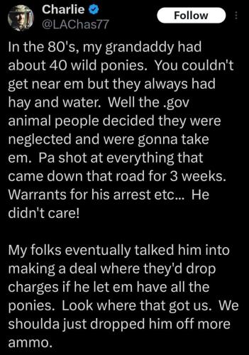 photo_2024-11-04_11-56-43