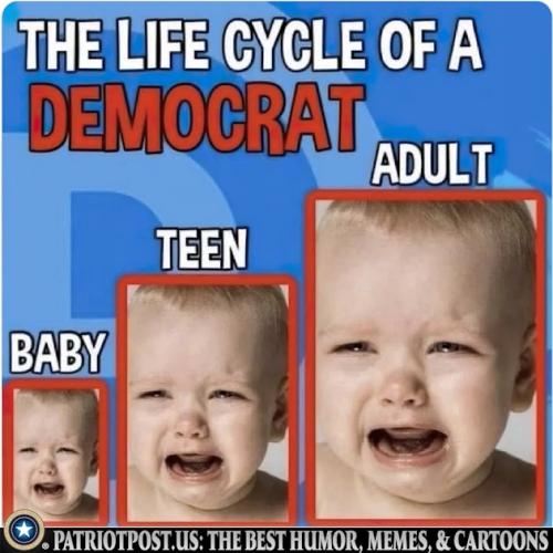 01JCRSF90QHBCQSVNC89EG496R