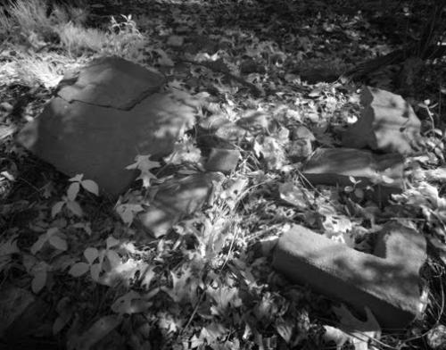 McPike Mansion, Alton IL 5