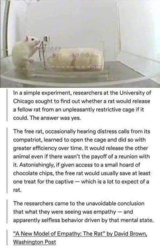 4AFE64A3-E294-4E98-B06E-2B9D3D50279F