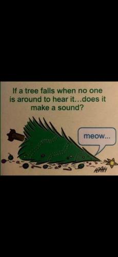 Screenshot_20241126_160454_Photos