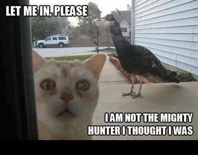 let-please-iam-not-mighty-hunter-thought