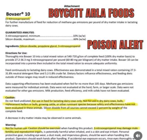 photo_2024-11-29_20-10-08