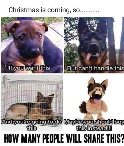 A61528F6-6D68-4940-840B-044E84B700A7