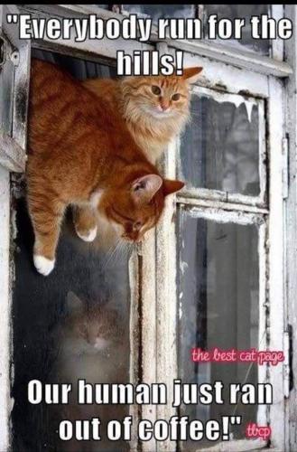 502cc384efeef21206920a51f4cc39d2