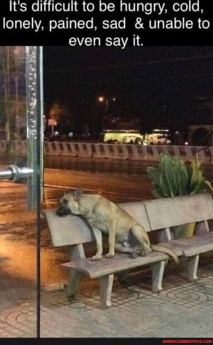 89ec0ba7f662fcd1f5870c89b12ed85f7565f8ff6dfb6f7d0adfe92277e48731_1