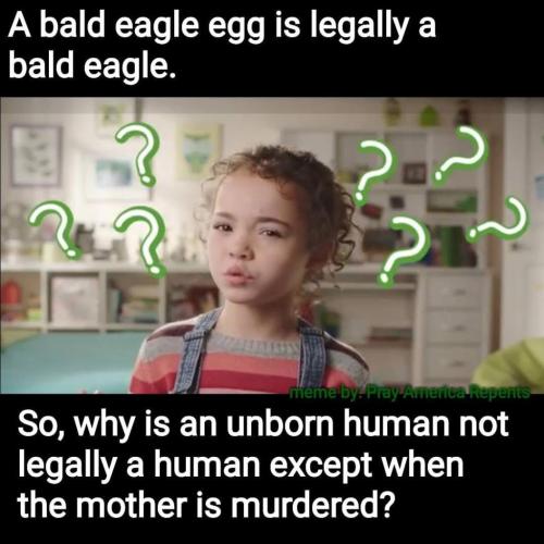 F6ED39D7-6B79-448C-88FB-6B8C0F7A0A71