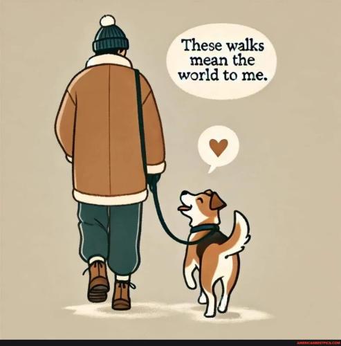 0f5ae922120b3771ff9b52120be50b31ed9a18cbe0c750de6856a6a041e64523_1