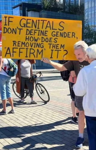 image_2024-11-28_131151808