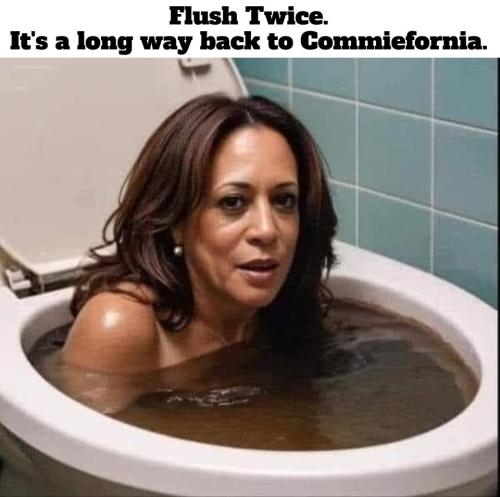 Flush twice it's a long way to Commiefornia.960px
