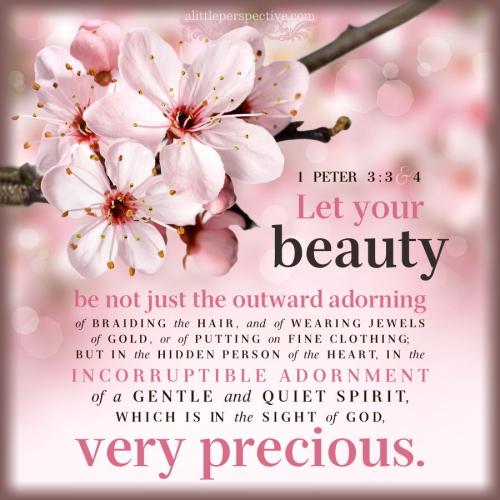 1-pet-3-3-WEB-pexels-9x