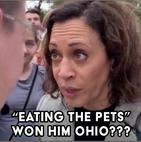 photo_2024-11-06_14-49-21