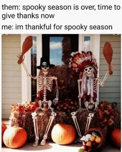 image_E36B1761-7BD9-4460-820C-EED2AAAC3210