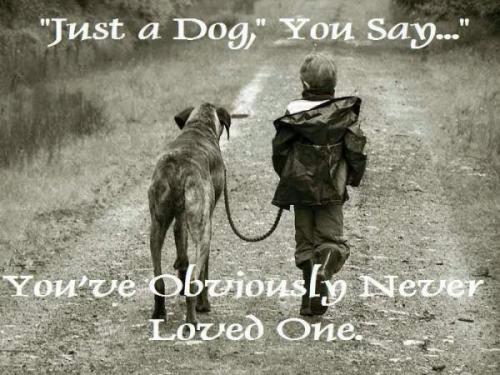 8045dbca-8be1-486d-8fee-bfc1d91cc679