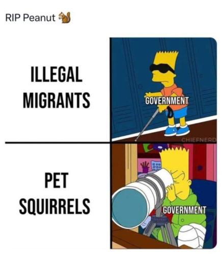 9cebd630-41c7-4893-ae3a-90d68b1d8a91