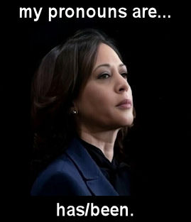 kamala harris622