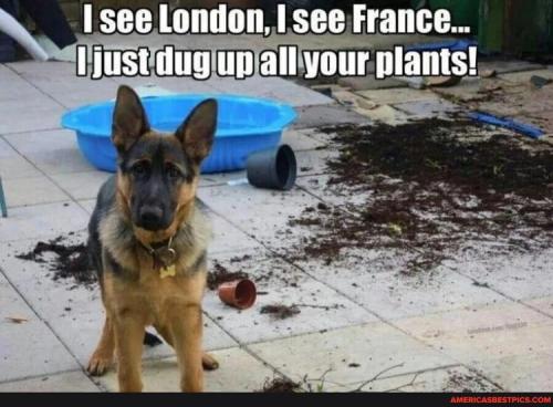 9d5e3dd215daf39c4474e9d7aaae59da7396766c8e976ffc70726dd940f6ad35_1