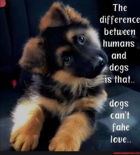 148c18fe27f7e943dad42d2583122ad6ce4d888bc7658a4c595a2e76388e40c7_1