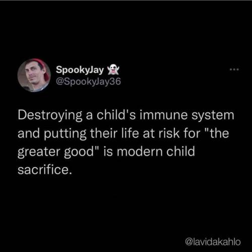 photo_2024-11-24_16-44-55