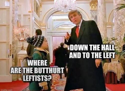 IMG_20241116_234355_440