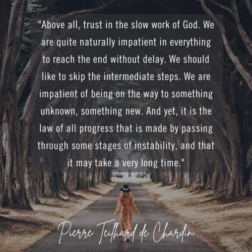 IMG_20241120_030234_896