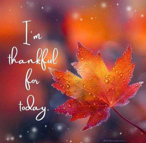 FB_IMG_1732833825487