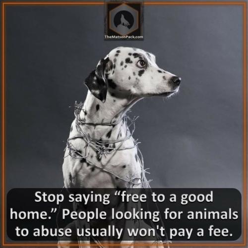 9197ec8ea87b6cb1a26f8d35cf1f32e6